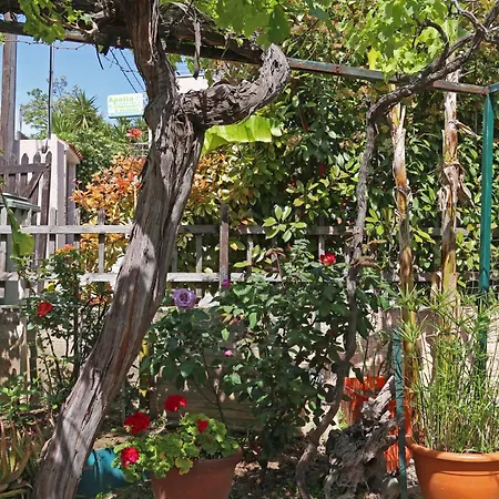 Дом отдыха Traditional House On Rock Афитос